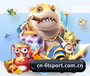 我们在做什么 - 6tsport